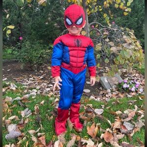 Spider-Man Costume Deluxe